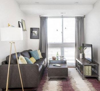 Oversized Windows in Living Areas